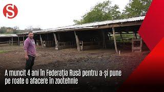 A muncit patru ani în Federația Rusă pentru a-și pune pe roate o afacere de creșete a ovinelor