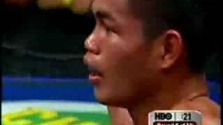 Boxing Warriors