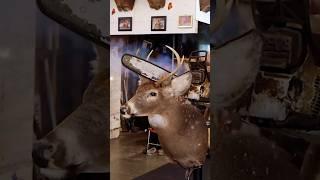 CUTTING A Taxidermy DEER Mount IN HALF with a CHAINSAW