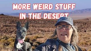 Aggressive Wildlife, Mystery and Beauty, RV Boondocking in Tonopah Nevada