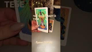 ЧТО ОН ДУМАЕТ О ТЕбЕ СЕЙЧАС ⁉️ #tarot #lyubimovatv #егомысли