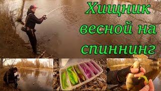 Весенняя ловля хищника на спиннинг. В марте на реке