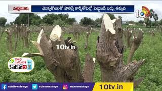 8 ఎకరాల్లో మునగ సాగు..7 నెలలకే రూ. 16 లక్షల ఆదాయం | Munaga Cultivation | Matti Manishi | 10TV