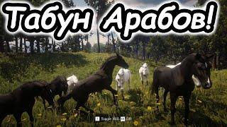 Создала Табун Арабских Чистокровных! | Трейнер в Red Dead Redemption 2