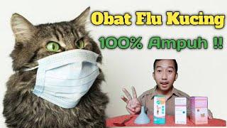 Cara Mengobati Kucing Flu | Dijamin Ampuh