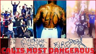 Who are the Neighborhood Rollin 40 Crips? | The Notorious Glove Gang | FBIs top 5 active gang list