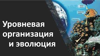 1.2 Уровневая организация и эволюция