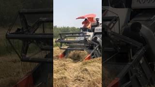 Rice Harvesting, Kubota Harvester #kubota #dc105x #automobile #farming #tractor