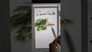 cumin seed in different languages #shorts #ytshorts #youtubeshorts #youtube #yt #viral #viralshorts