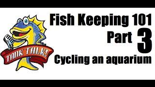 Fish Keeping 101 Part 3 "Cycling An Aquarium" Presented by KGTropicals
