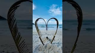 MEDITATION REFLEX MUSIC VIDEO