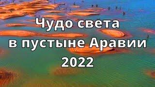 Чудеса света в пустыне! Саудовская пустыня превращается в тысячи озёр