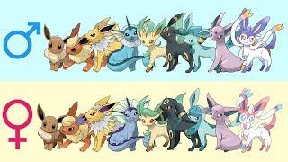 All Eeveelutions Gender Difference Fanart