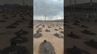 jannatul baqi | madinah ka wo kabristan jaha 10 hazar se zyada sahaba dafan he | baqi graveyard