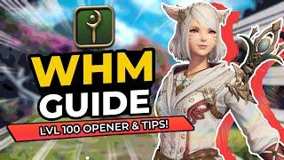 The White Mage Lv100 Dawntrail Guide