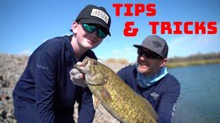 Bed Fishing For Beginners! Breakdown On How To Get People Into Bass Fishing!