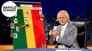 Harald Schmidt, Oliver Pocher und die Finanzampel | Die Harald Schmidt Show (ARD)