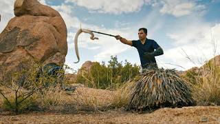 Hunt For The Crotalus Atrox in the Largest Desert in North America