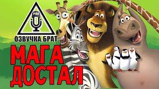Озвучка, брат: МагаДостал