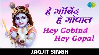 Hey Gobind Hey Gopal | हे गोबिंद हे गोपाल | Jagjit Singh | कृष्ण भजन