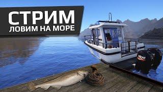 \\\\\\\ Стрим SHORT Русская Рыбалка 4 //////////