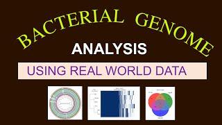 Whole Genome Sequence Analysis | Bacterial Genome Analysis | Bioinformatics 101 for Beginners