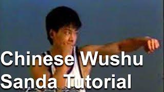 中国武术散打 - Chinese Wushu Sanda Tutorial