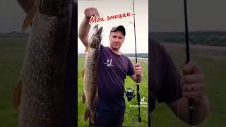 Мои эмоции #fishing #pike #pikefishing #spinning #щука #maximusрыбалка #shortsvideo #короткоевидео