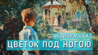 Цветок под ногою. Аудиорассказ. Автор - Леонид Андреев