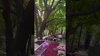 8 февраля 2025 г.