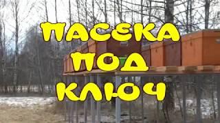 ПАСЕКА ПОД КЛЮЧ. ЗАКАЗ НА 20 ЛЕЖАКОВ ДЛЯ НОВОЙ ПАСЕКИ