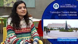 Toplumsal Cinsiyet Topluluğu | İSTANBUL OKAN ÜNİVERSİTESİ