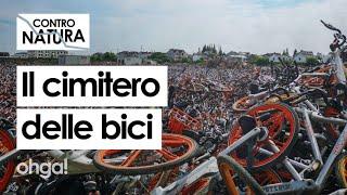 Il lato oscuro del BIKE SHARING: i cimiteri di biciclette tenuti nascosti dalla Cina