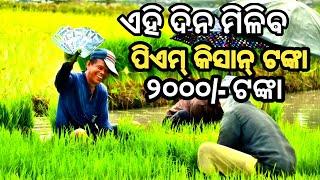 PM Kisan 19th installment release date Asila || Kebe Aasiba PM kisan 19th installment 2025 odisha