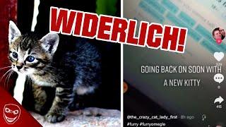 Der widerlichste Account überhaupt! Crazy Cat Lady TikTok Mysterium!