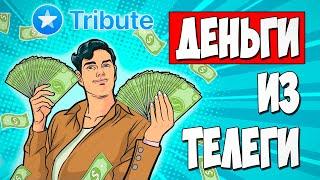 Как заработать на платных подписках в Telegram | Сервис Tribute