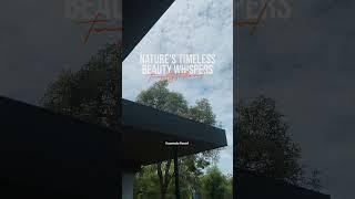 Nature's timeless beauty whispers tranquility to the soul.