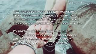 [lyrics] Elvin Grey ft. Интонация - Засыпай Зима [LIETUVIŠKAI!]