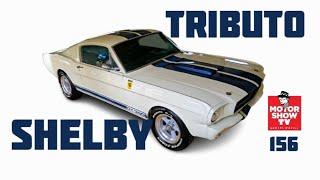 Tributo al SHELBY GT350, decenas de PORSCHES y los FORDS del LA Auto Show-MotorShow TV: Episodio 156