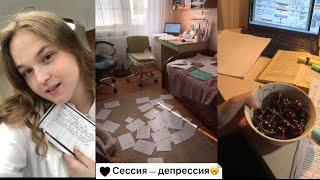 летняя сессия в СПБГУВМ/работа в ветеринарной клинике