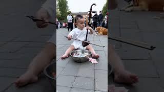 In order to reduce the burden on adults, the baby and the dog performed erhu for everyone in the s