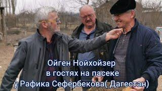 Зимний осмотр пчелосемьи в Дагестане. В гостях у Рафика Сефербекова.