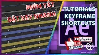 Phím tắt đặt key nhanh trong After Effect #36 | Cường Từ Điển