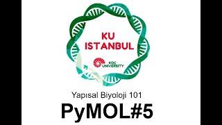 Yapısal Biyoloji 101| PyMOL#5