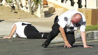 Angry Bee Swarm Attacks Volunteer Police Officer on Live TV