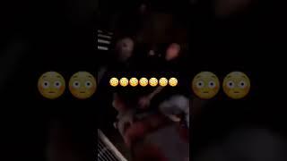 (WOW) Molly McCann Sleeps Luana Carolina !!!!