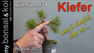 Bonsai 2025 6   quick job #24   Kiefer   keep it simple oder so    2