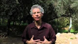 Jim Overview of Earth Wisdom & Primordial Mind