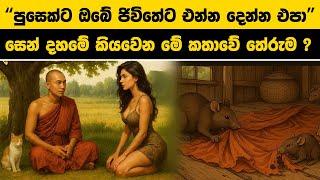 පුසෙක්ට ඔබේ ජිවිතේට එන්න දෙන්න එපා | සෙන් දහමේ කියවෙන මේ කතාවේ තේරුම ? | Control Your Mind
