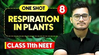 RESPIRATION IN PLANTS - Complete Chapter in One Video || Concepts+PYQs || Class 11th NEET